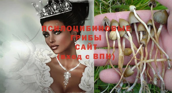 амф Абаза