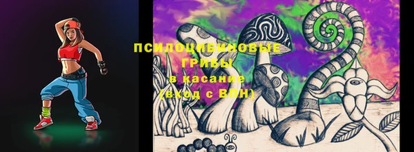 молекула духа Покровск