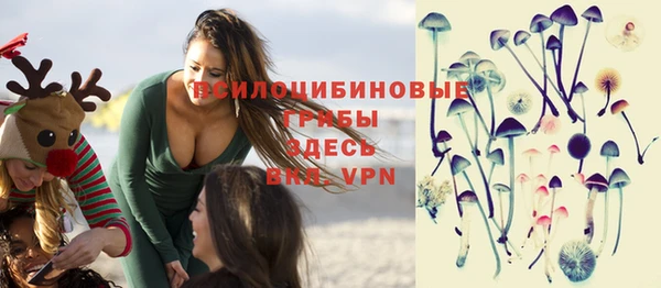 крисы Абинск